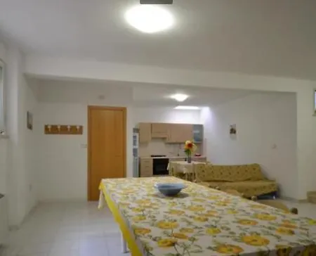 Motel Solarium فوساتشيزيا